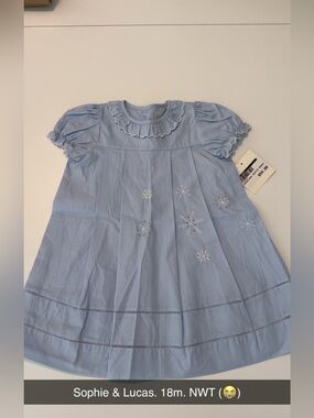Sophie & Lucas Light Blue Embroidered Snowflake Dress - 18M